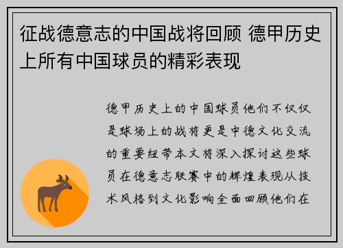 征战德意志的中国战将回顾 德甲历史上所有中国球员的精彩表现